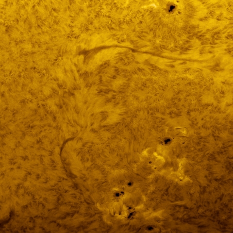 Sun Spots Jan 2025