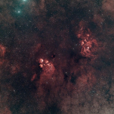 Cats Paw and Lobster