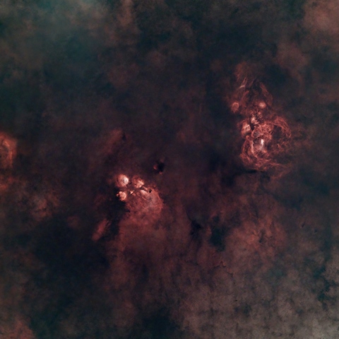 Cats Paw and Lobster Nebula