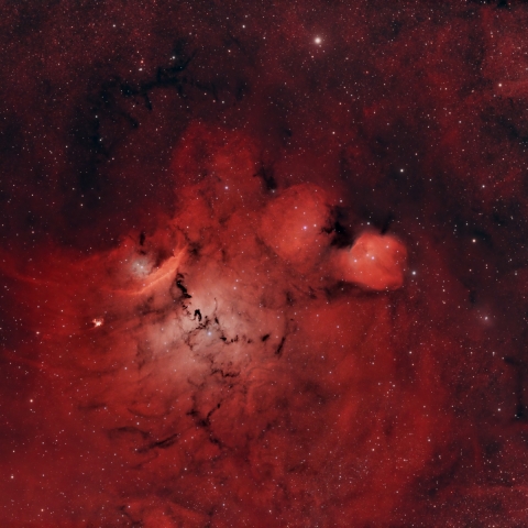 Chinese Dragon Nebula