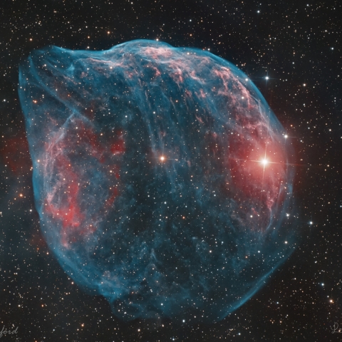 Dolphin Nebula Collab - SH 2-308