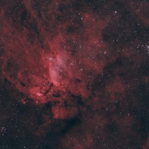 Prawn Nebula