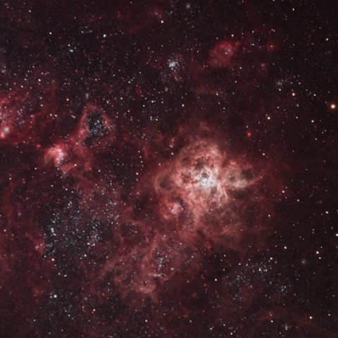 Tarantula Nebula