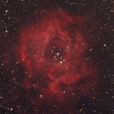Rosette Nebula