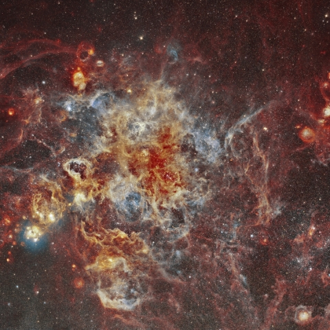 Tarantula Nebula