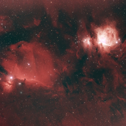 Horsehead & Orion