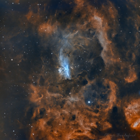 Lobster Nebula / War and Peace Nebula