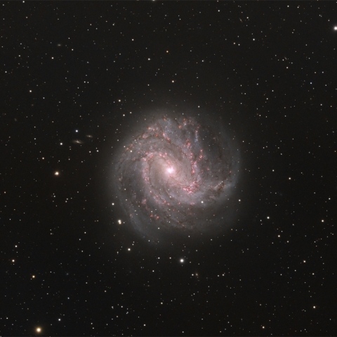Southern Pinwheel Galaxy