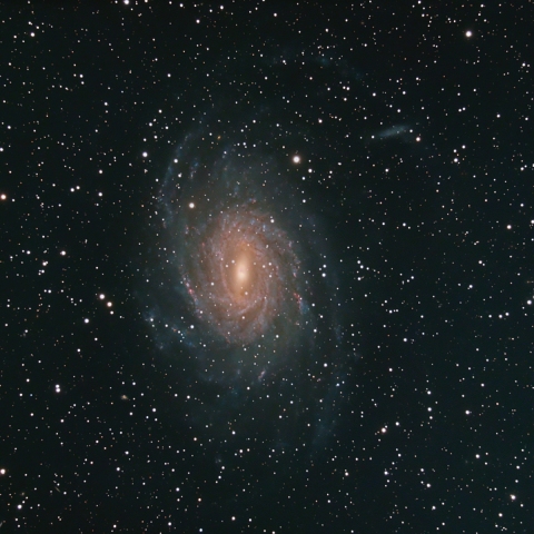 NGC 6744 Galaxy