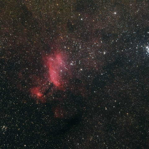 Prawn Nebula &  Clusters