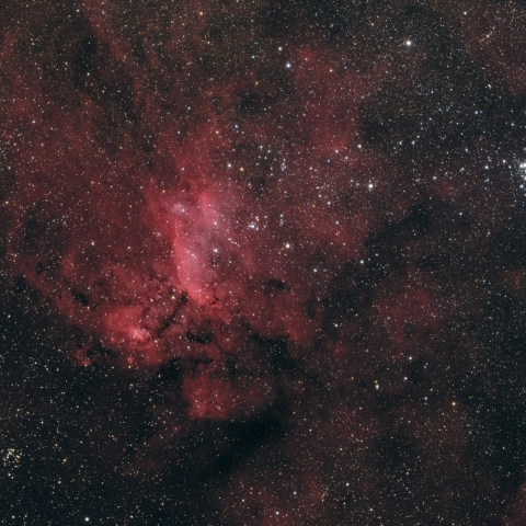 Prawn Nebula & Clusters