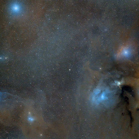 Rho Ophiuchi & Blue Horsehead