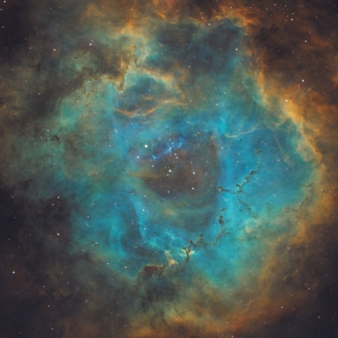 Rosette Nebula