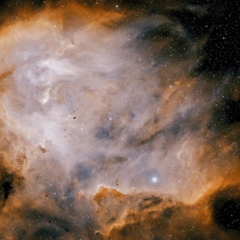 RunChicken_SHO_FINAL