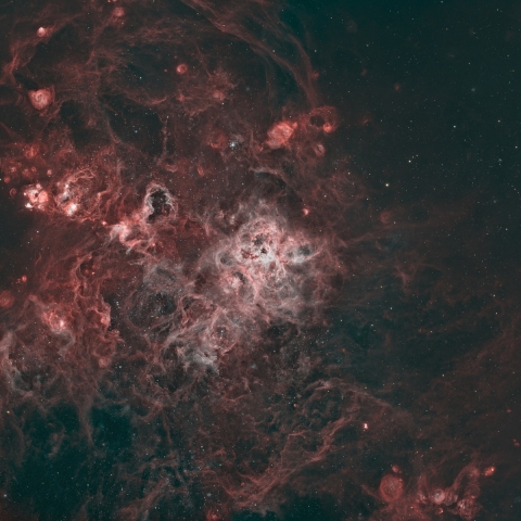 Tarantula Nebula