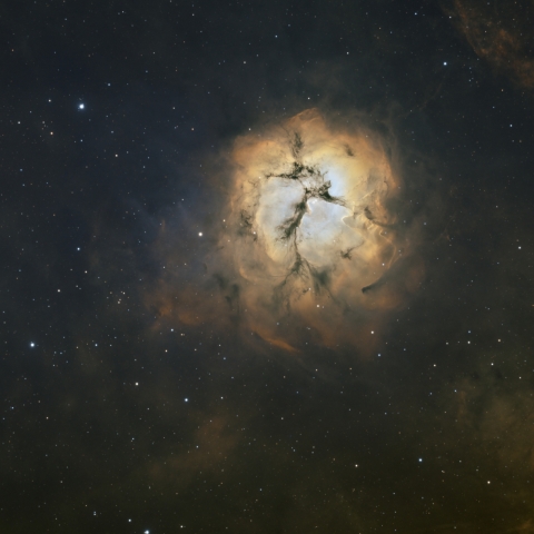 Trifid Nebula
