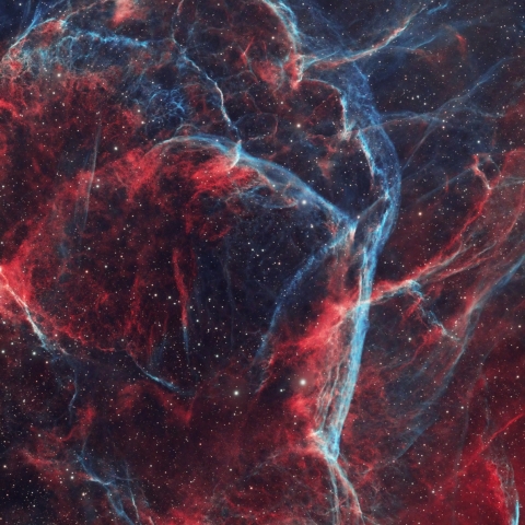 Vela Nebula