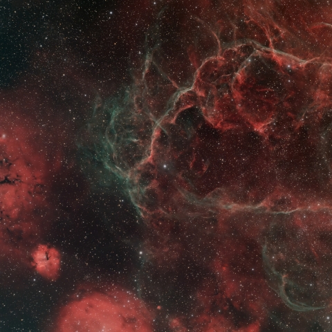 Vela Widefield