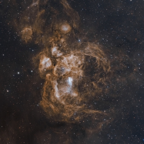 Lobster / War and Peace Nebula