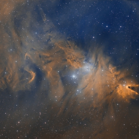 Christmas Tree Cluster / Cone Nebula